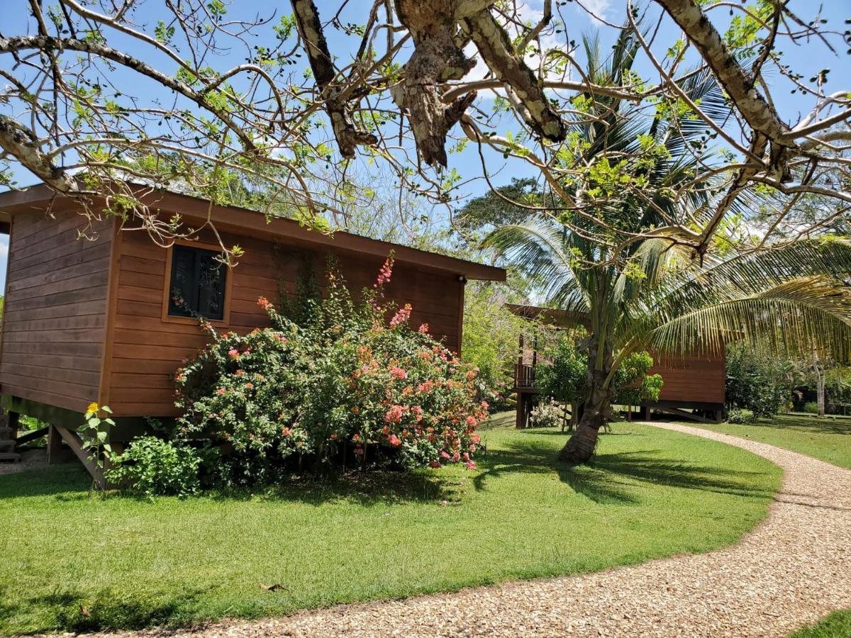 Yumas Riverfront Lodge Сан Игнасио Екстериор снимка