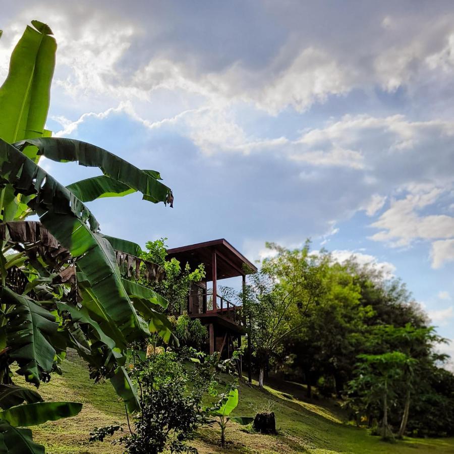 Yumas Riverfront Lodge Сан Игнасио Екстериор снимка