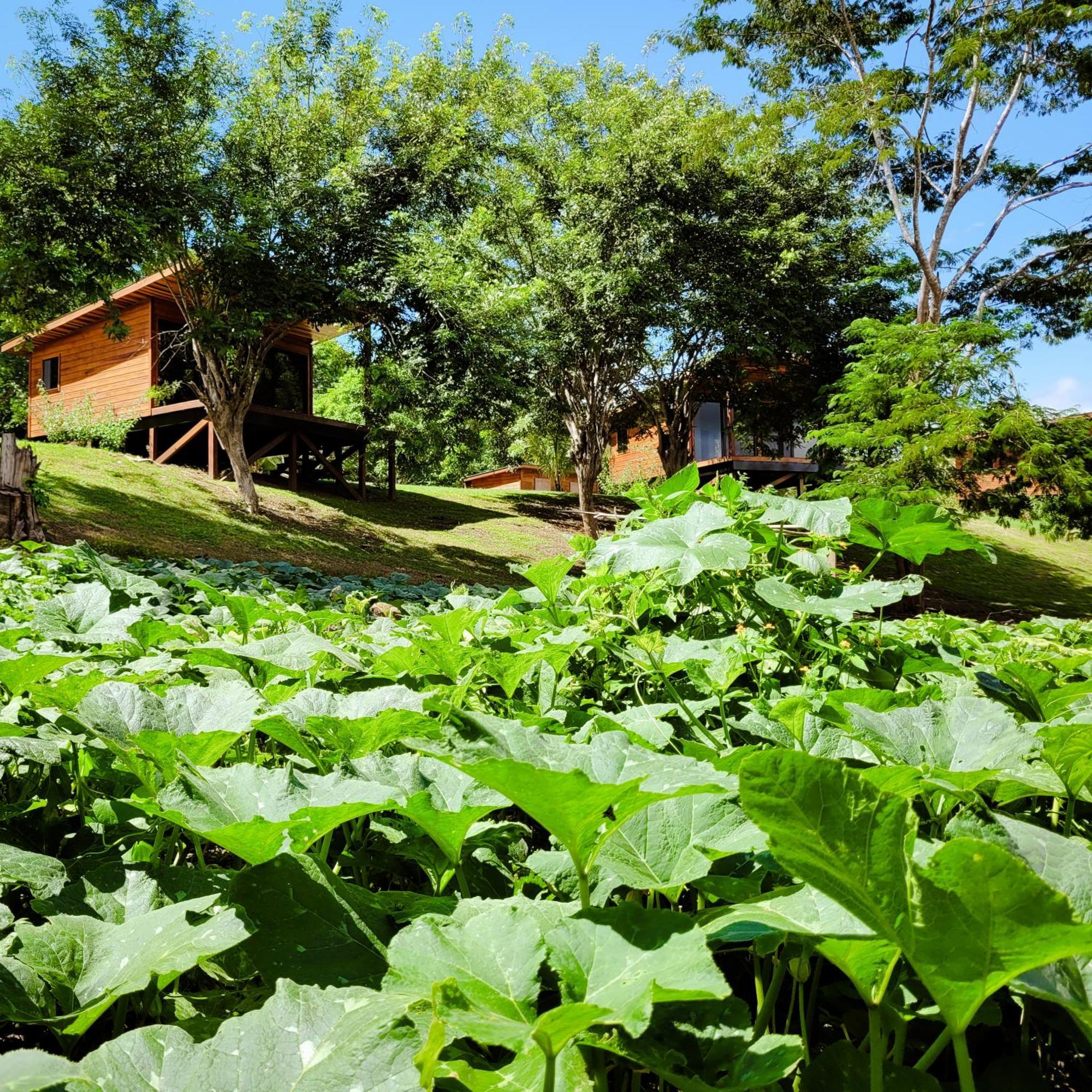 Yumas Riverfront Lodge Сан Игнасио Екстериор снимка